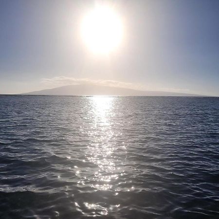 The Beach Hale Critter Refuge Lahaina Luaran gambar