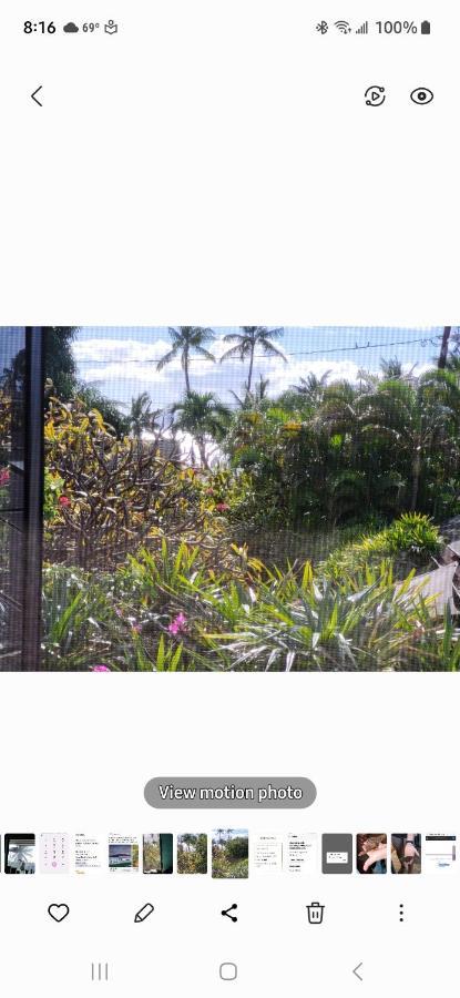 The Beach Hale Critter Refuge Lahaina Luaran gambar