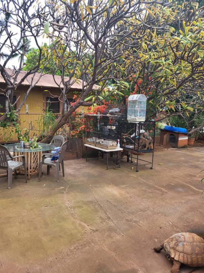 The Beach Hale Critter Refuge Lahaina Luaran gambar