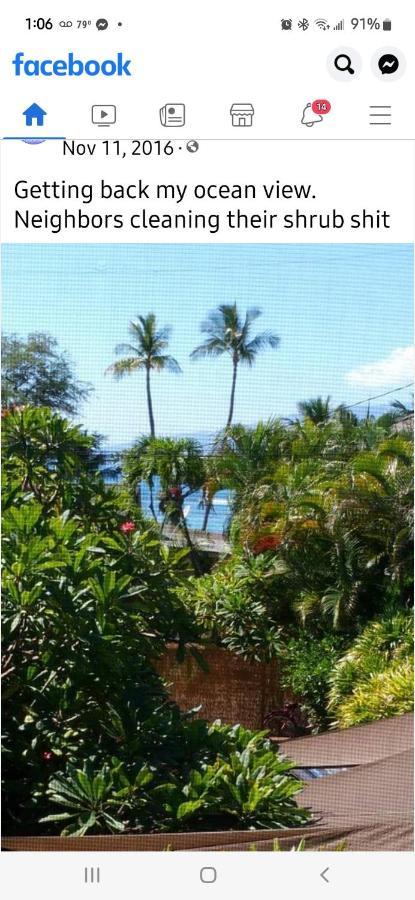 The Beach Hale Critter Refuge Lahaina Luaran gambar