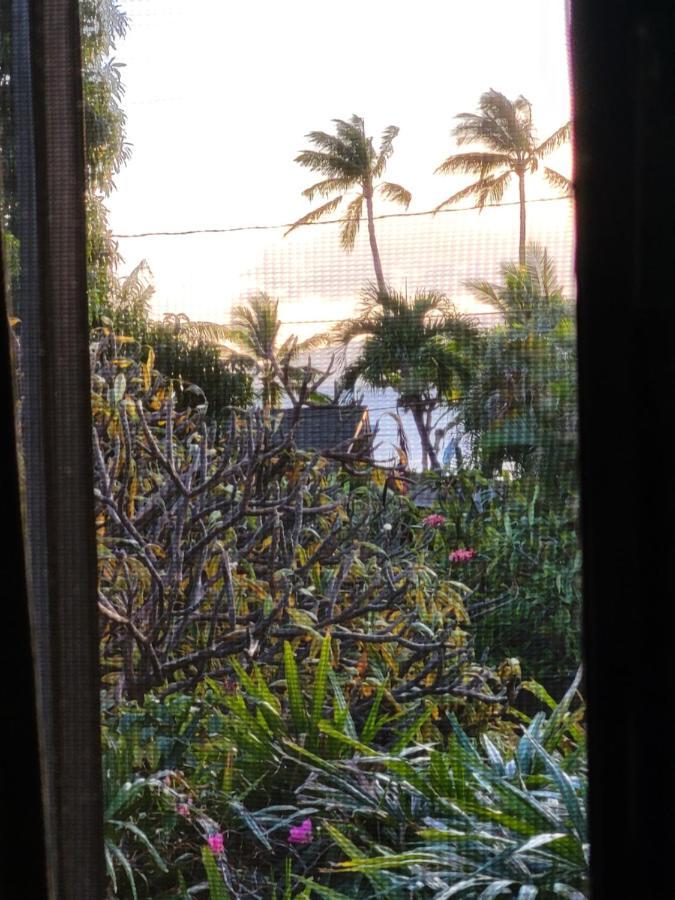 The Beach Hale Critter Refuge Lahaina Luaran gambar