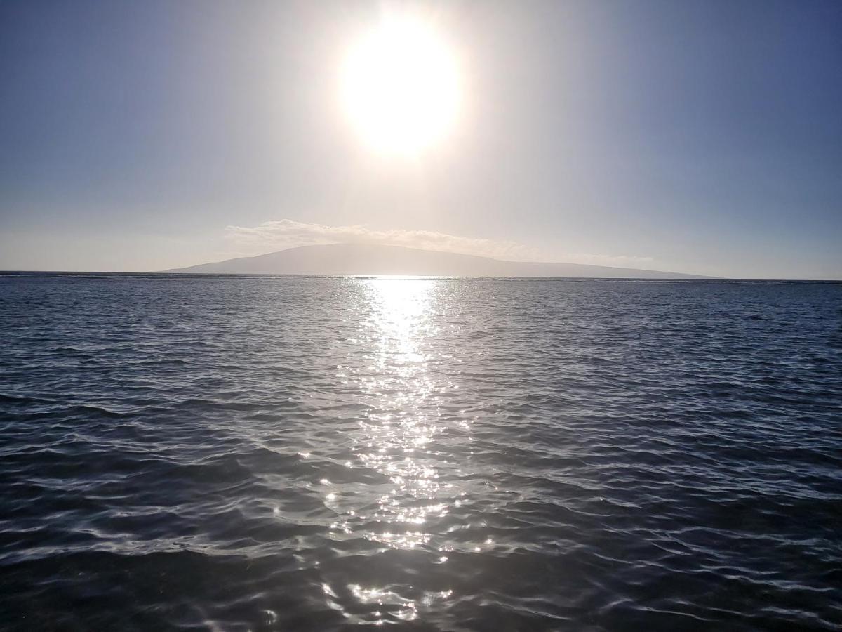 The Beach Hale Critter Refuge Lahaina Luaran gambar