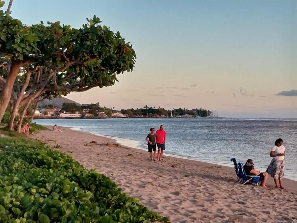 The Beach Hale Critter Refuge Lahaina Luaran gambar