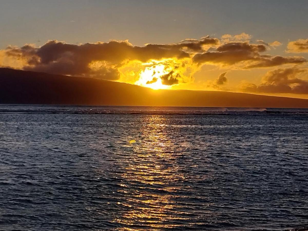 The Beach Hale Critter Refuge Lahaina Luaran gambar